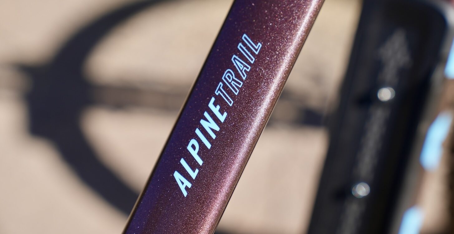 Bicicleta Doble suspensión Enduro Alpine Trail 1 Mullet Preventazo