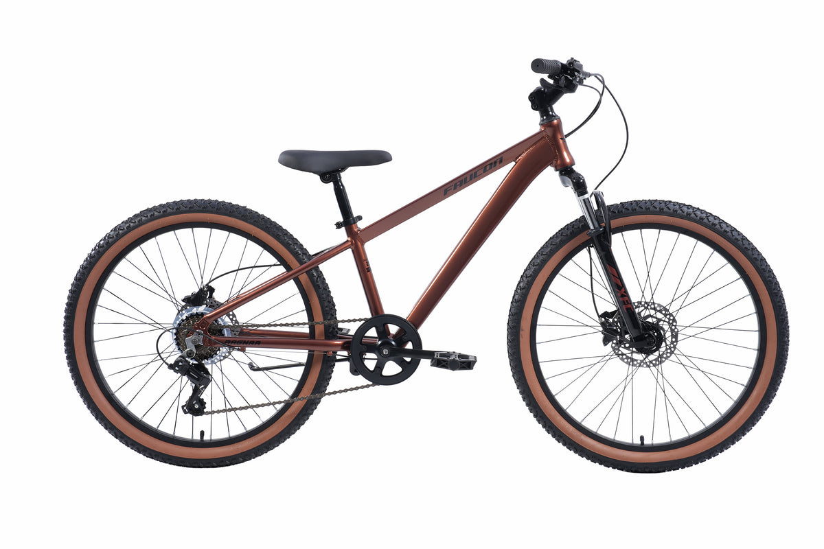 Bicicleta Infantil Ragnar Pro Hidráulico Aro 24