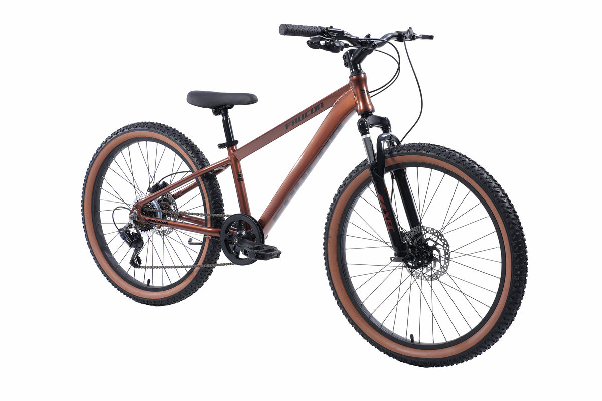 Bicicleta Infantil Ragnar Pro Hidráulico Aro 24