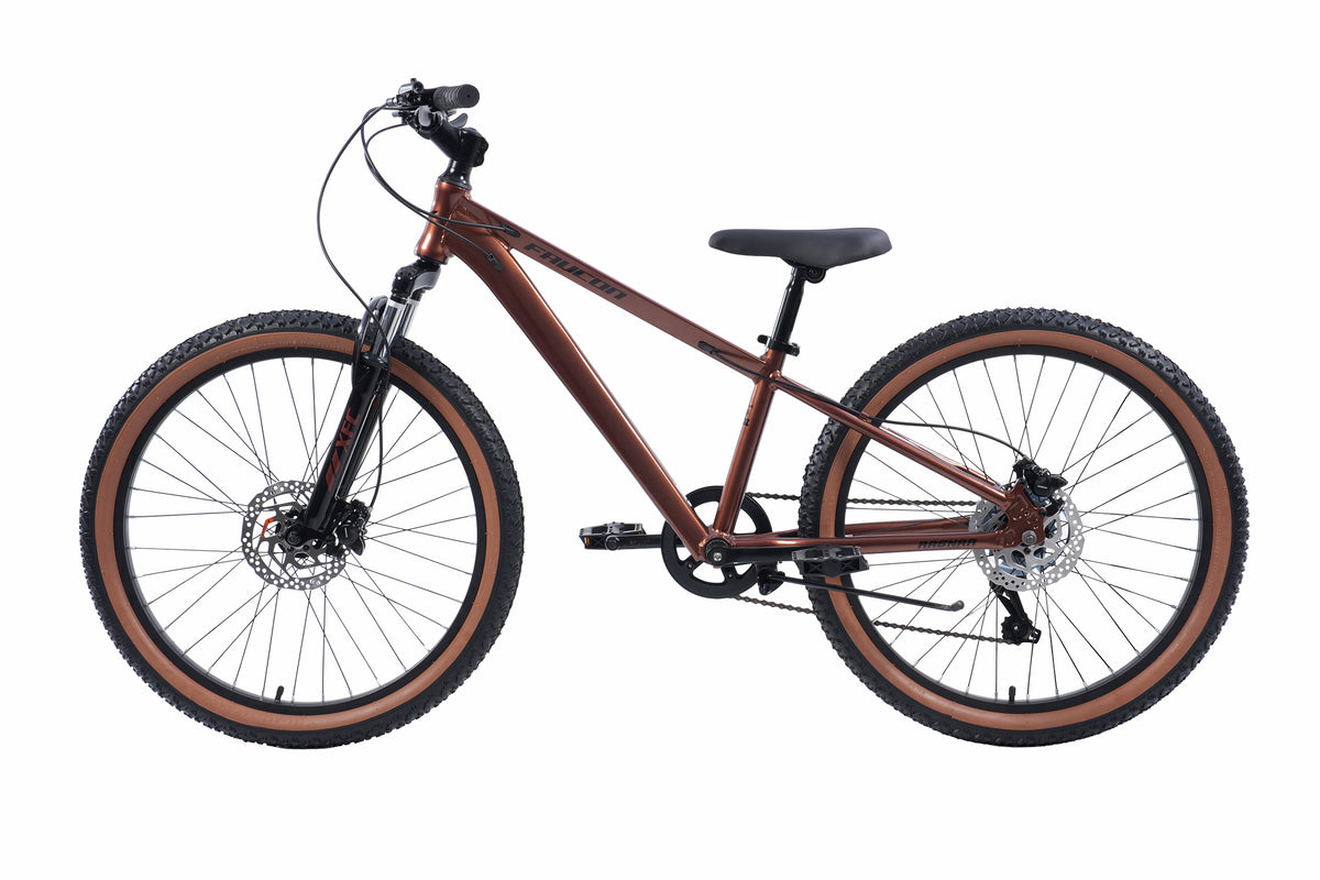 Bicicleta Infantil Ragnar Pro Hidráulico Aro 24