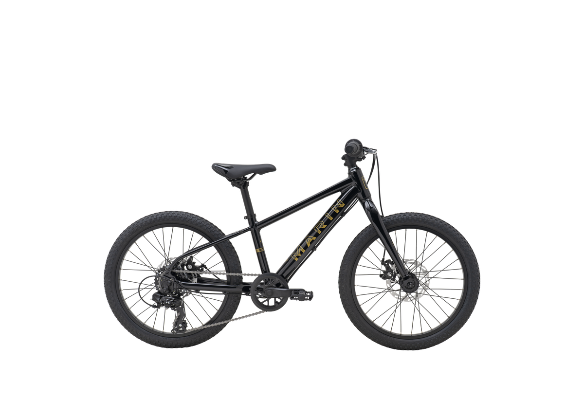Bicicleta Infantil Bayview Trail Aro 20 Preventazo