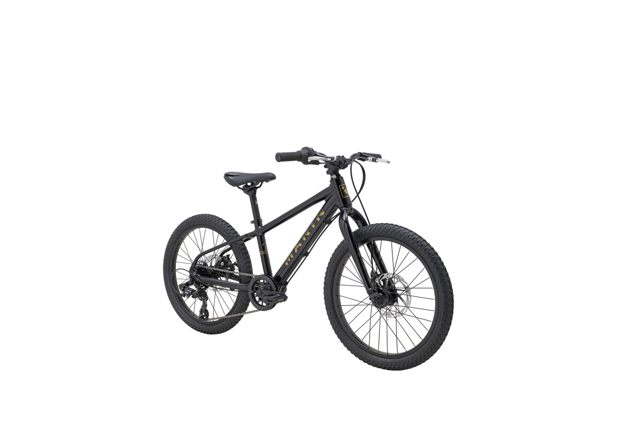 Bicicleta Infantil Bayview Trail Aro 20 Preventazo
