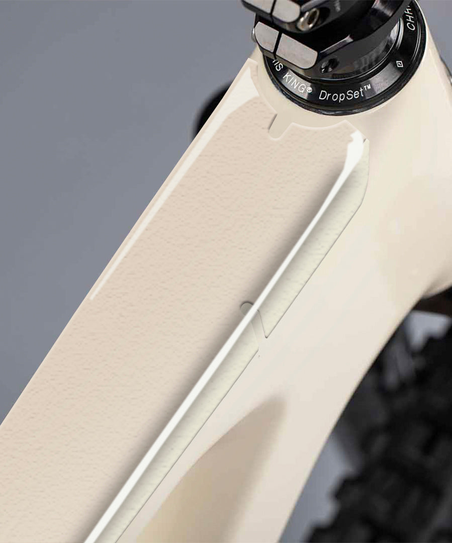 Protector de cuadro Proline Transparente