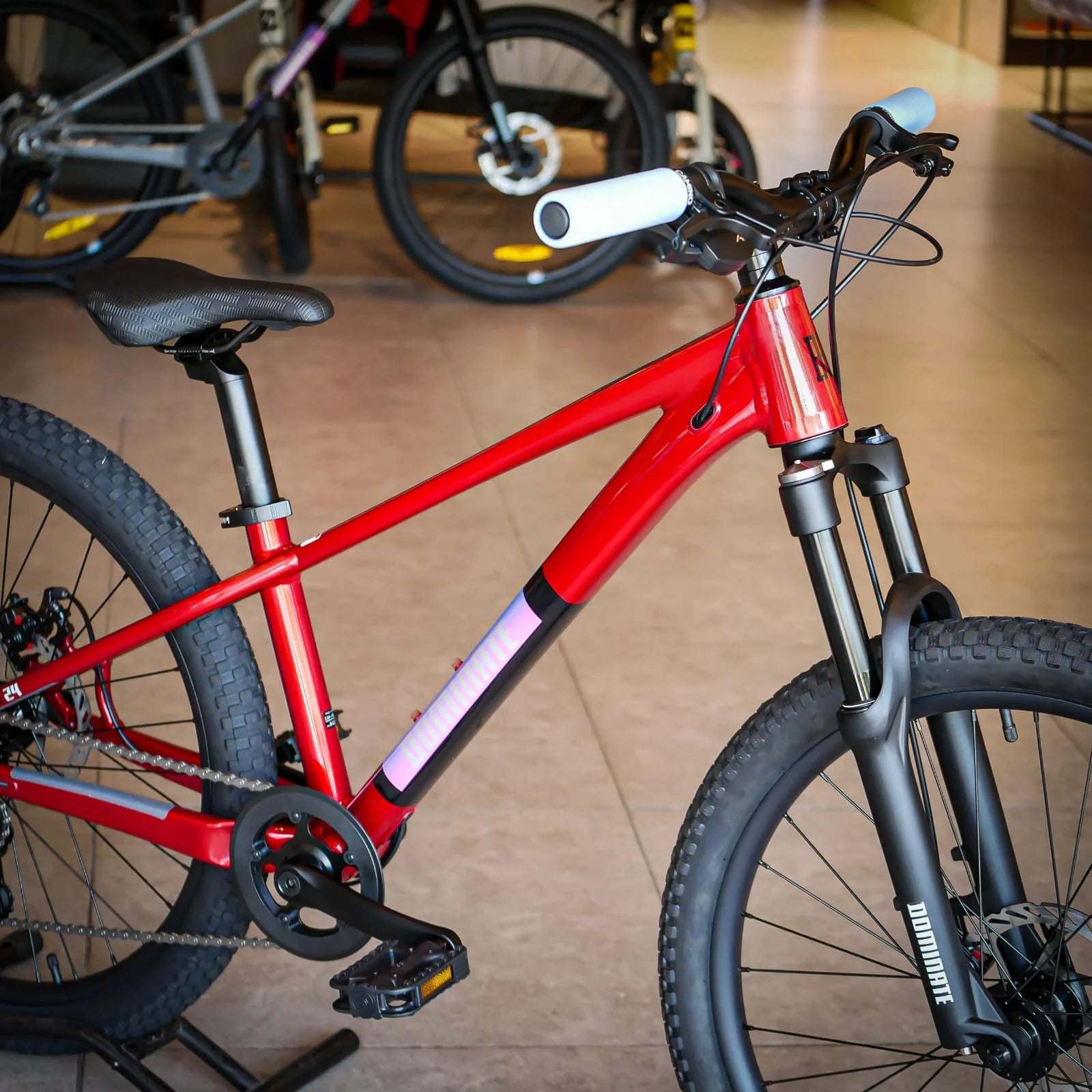 Bicicleta Infantil Dominate Aro 24