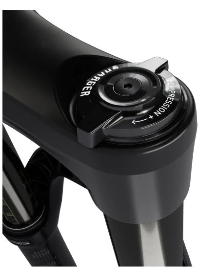 Horquilla Rs Lyrik Select 29" 160 mm