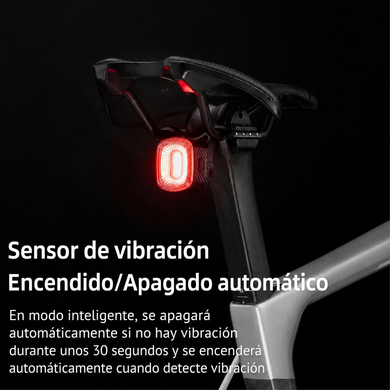 Luz Trasera Q4
