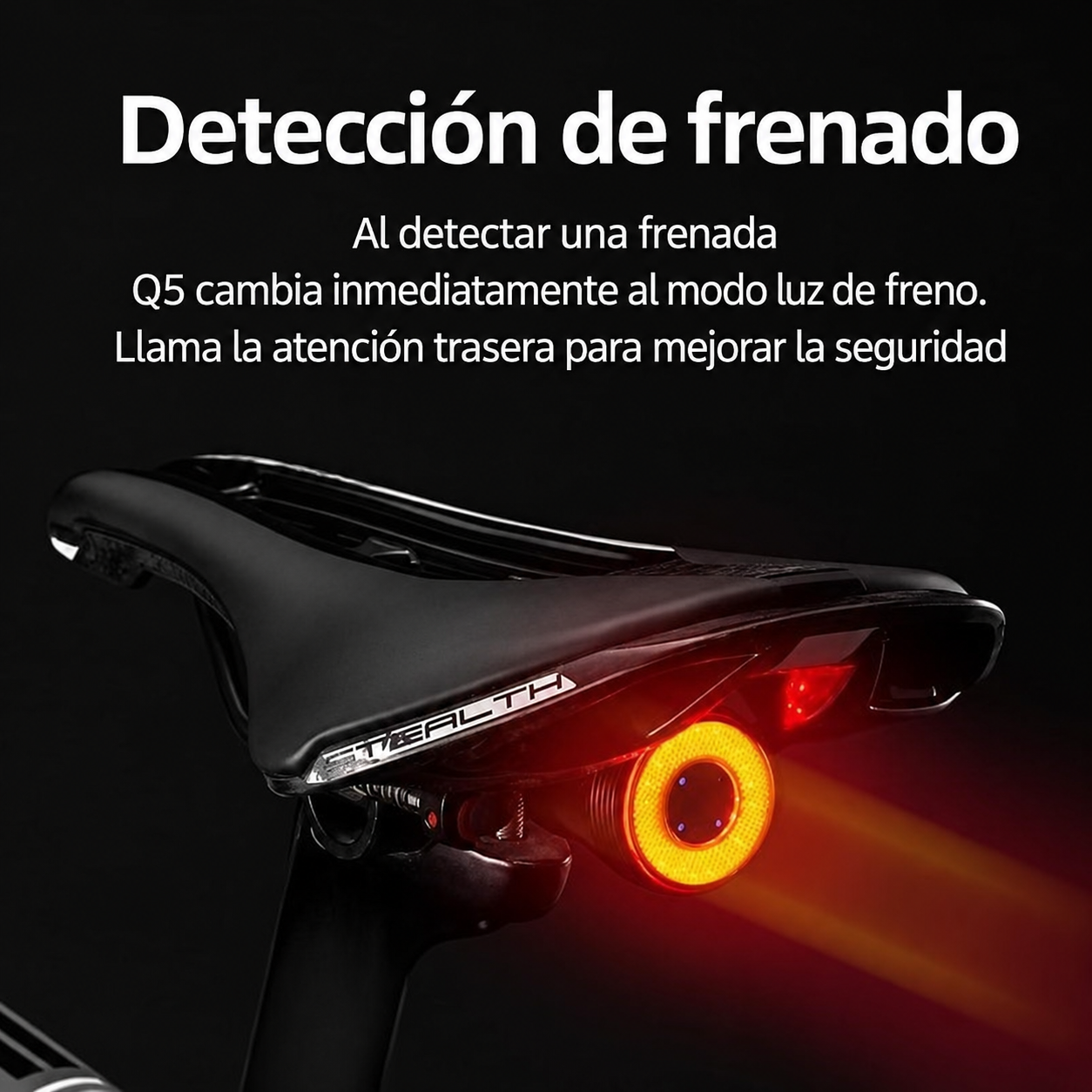 Luz Trasera Q5