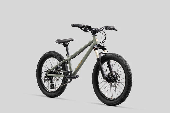 Bicicleta Infantil Charger 20 Aro 20