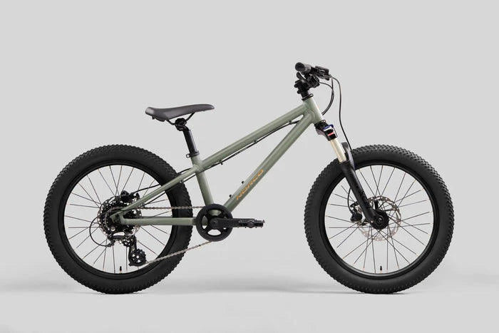 Bicicleta Infantil Charger 20 Aro 20