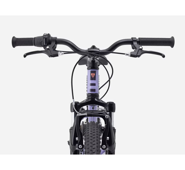 Bicicleta infantil PRECALIBER 20 7 velocidades