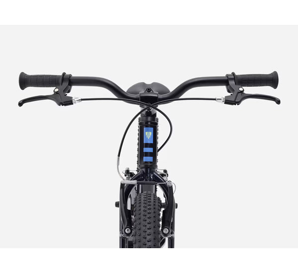 Bicicleta infantil PRECALIBER 20 fw