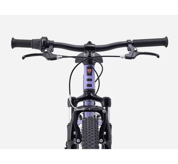 Bicicleta Infantil Precaliber Aro 24 8 velocidades