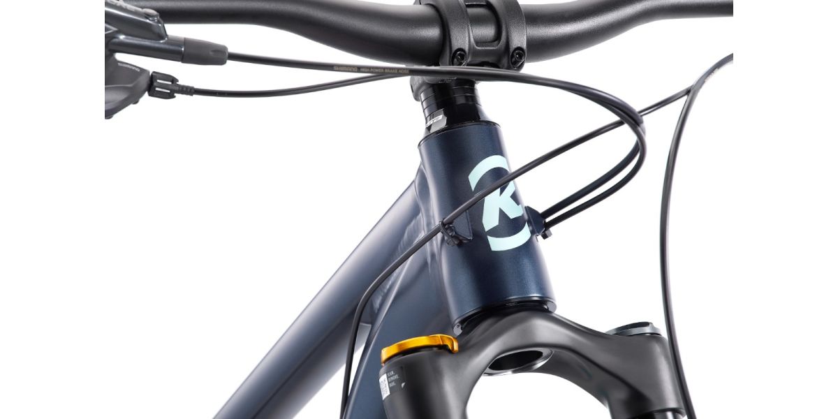 Bicicleta Doble Suspensión Process X 29