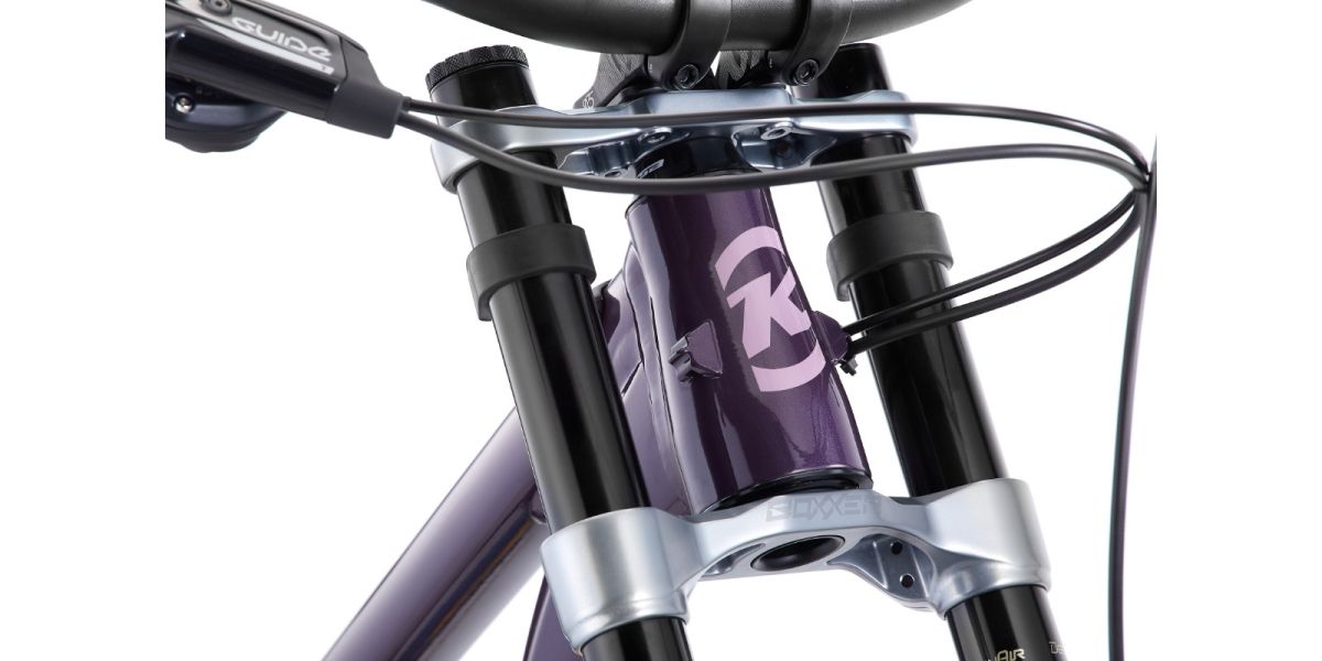 Bicicleta Descenso DH Process X DH 29