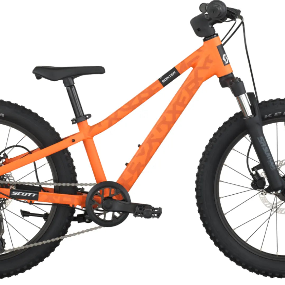 Bicicleta Infantil Roxter 20