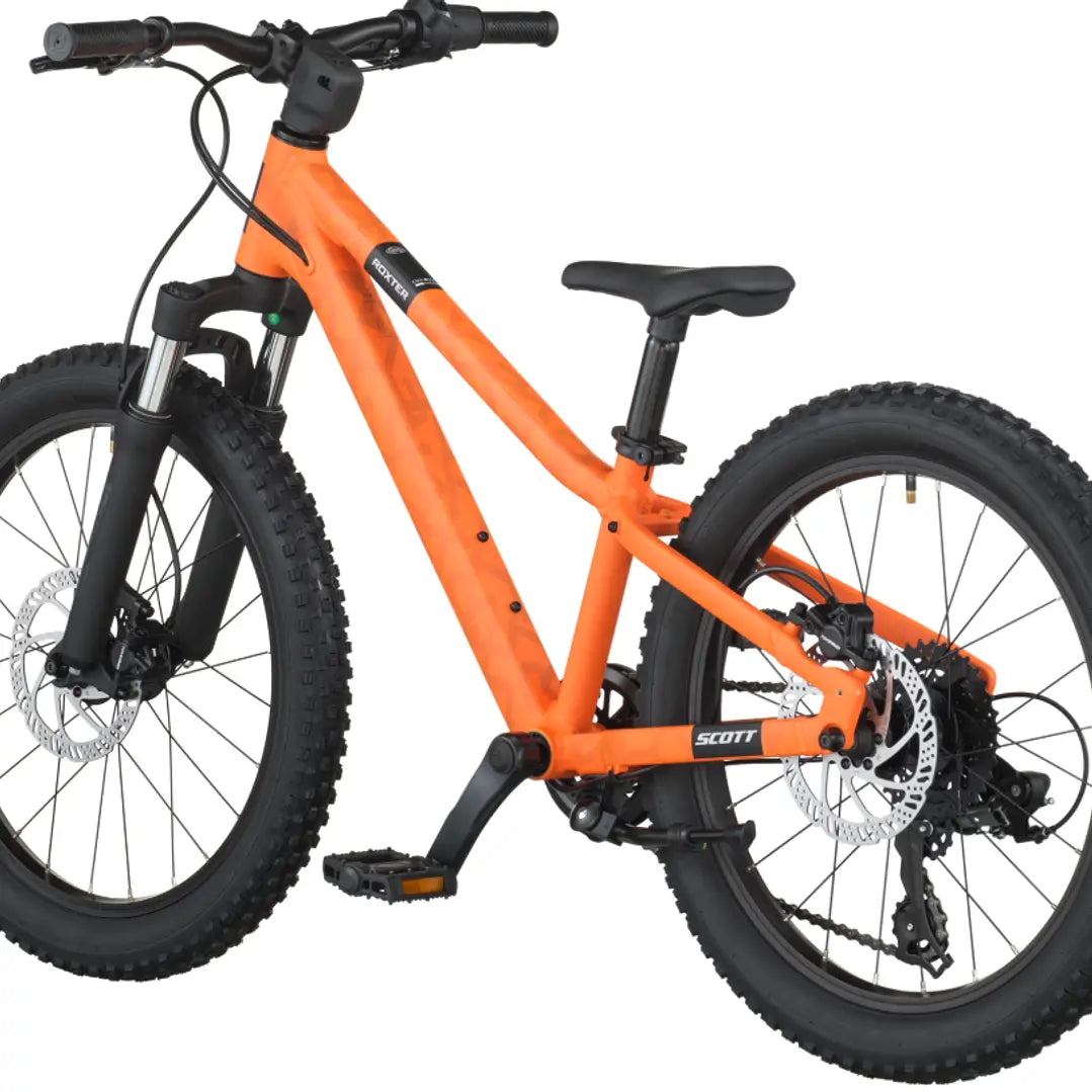 Bicicleta Infantil Roxter 20