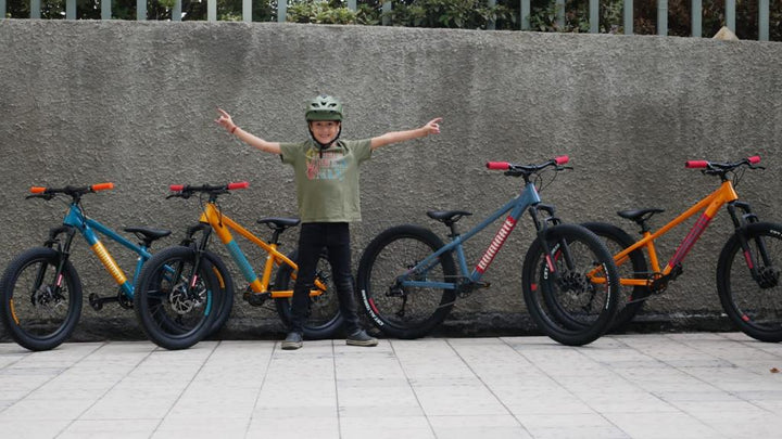 Bicicleta Infantil Dominate  Aro 20 Rojo