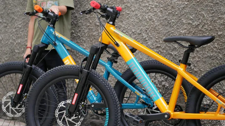 Bicicleta Infantil Dominate  Aro 20 Rojo