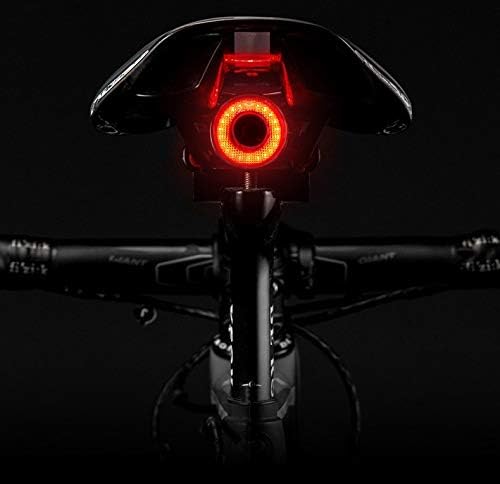 Luz Trasera Q5
