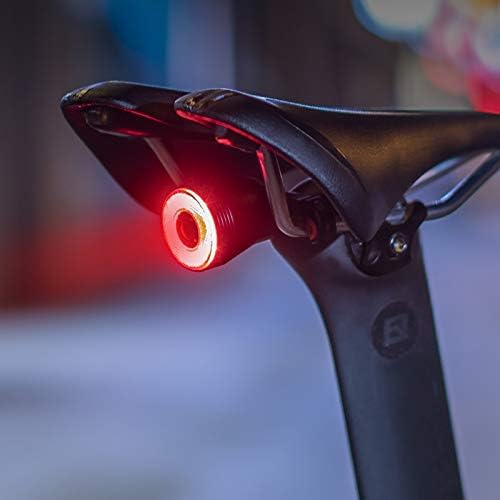 Luz Trasera Q5