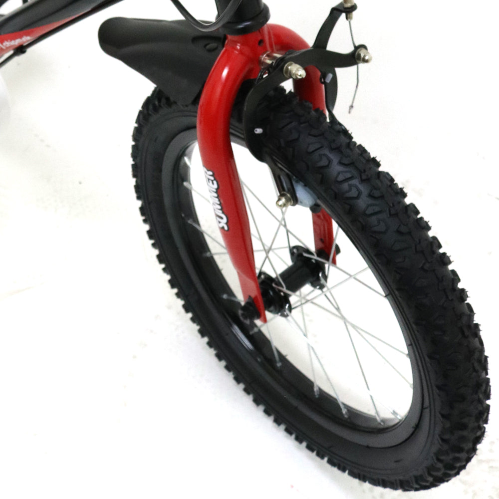 Bicicleta Chipmunk Infantil Summer Aro 16