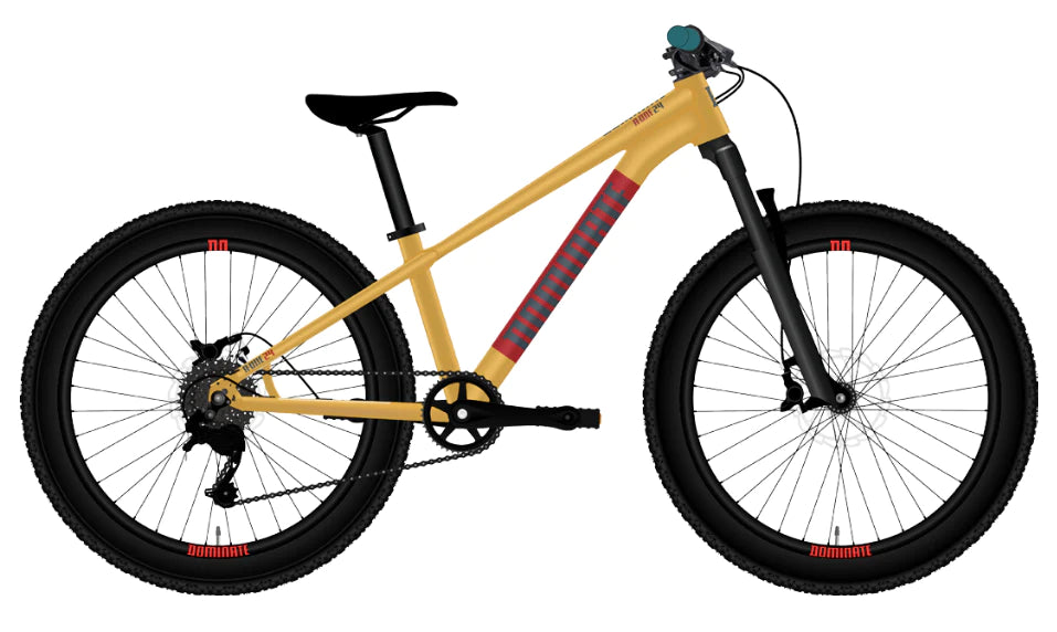 Bicicleta Infantil Dominate  Aro 24