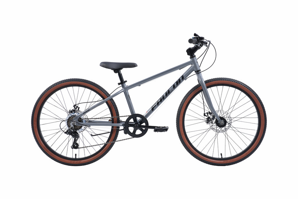 Bicicleta Infantil Baikal Aro 24