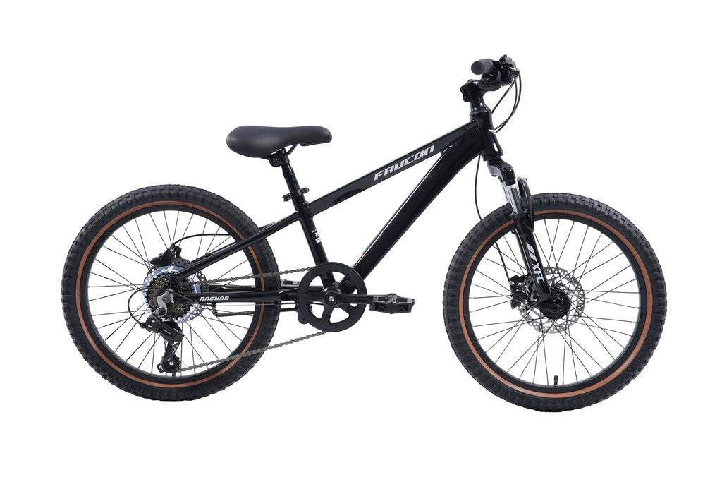 Bicicleta Infantil Ragnar Pro Hidráulico Aro 20