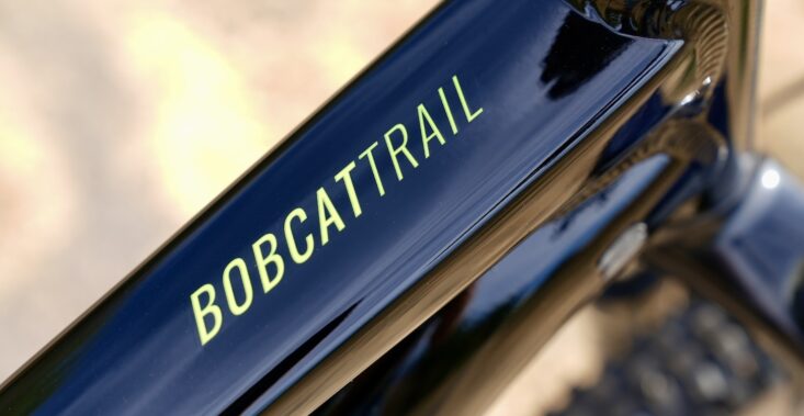 Bicicleta Mountain Bike Bobcat Trail 4 Aro 29 Preventazo