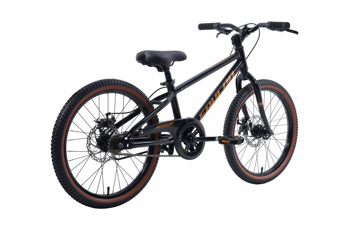Bicicleta Infantil Niño Baikal Aro 20
