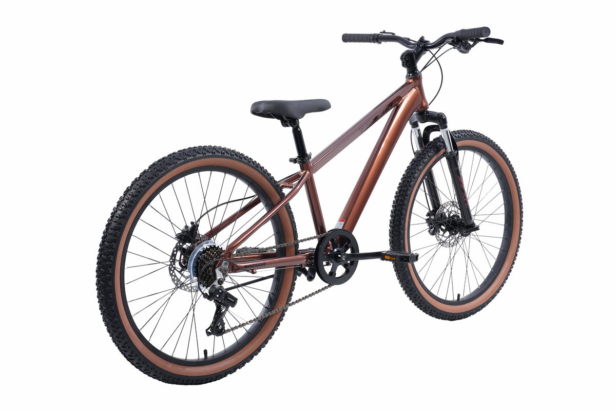 Bicicleta Infantil Ragnar Pro Hidráulico Aro 24