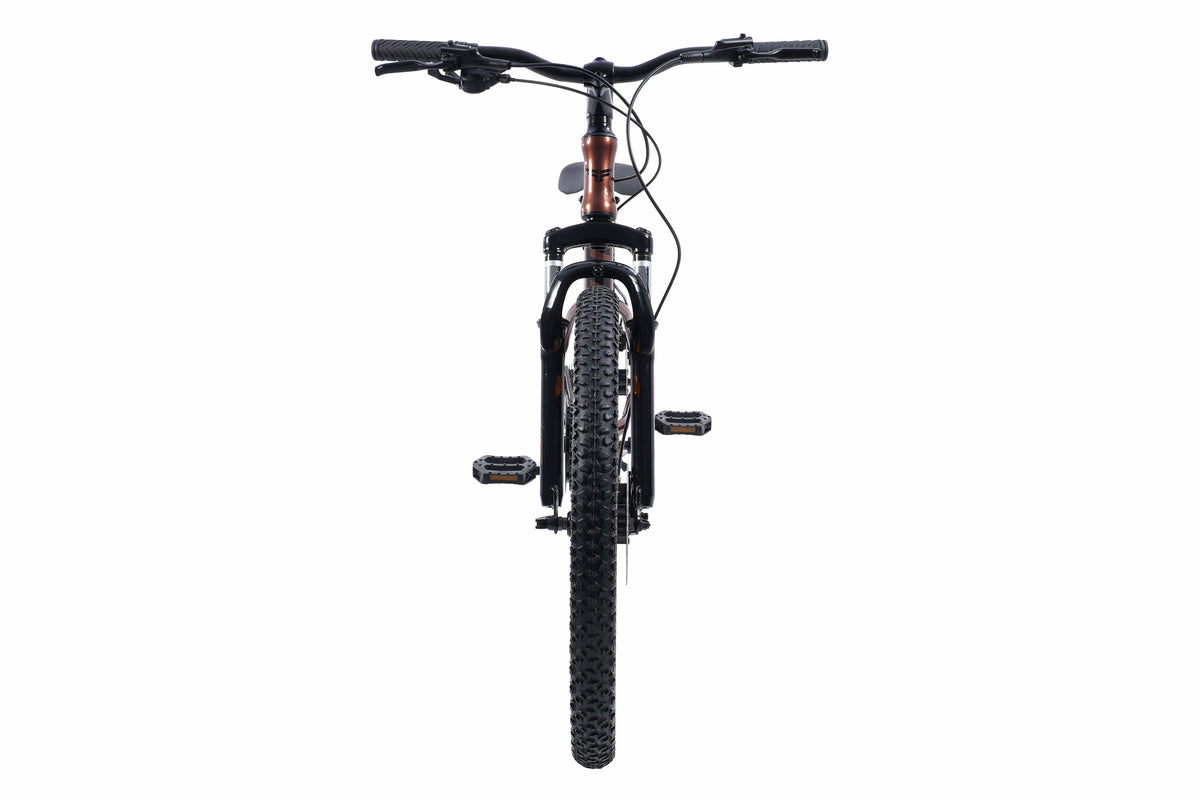Bicicleta Infantil Ragnar Pro Hidráulico Aro 24
