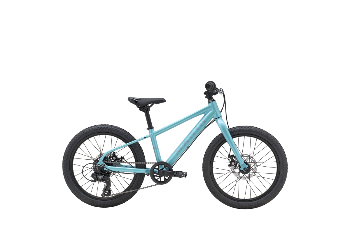 Bicicleta Infantil Bayview Trail Aro 20 Preventazo