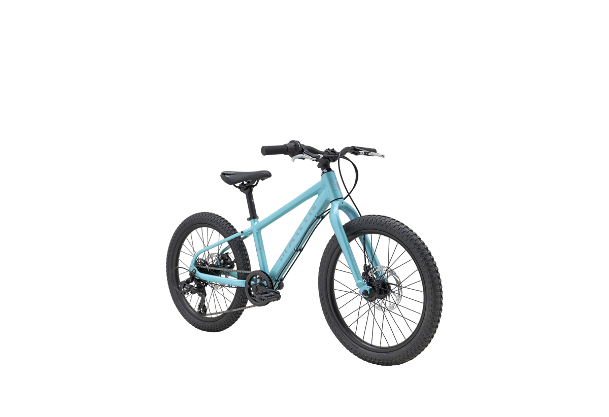 Bicicleta Infantil Bayview Trail Aro 20 Preventazo