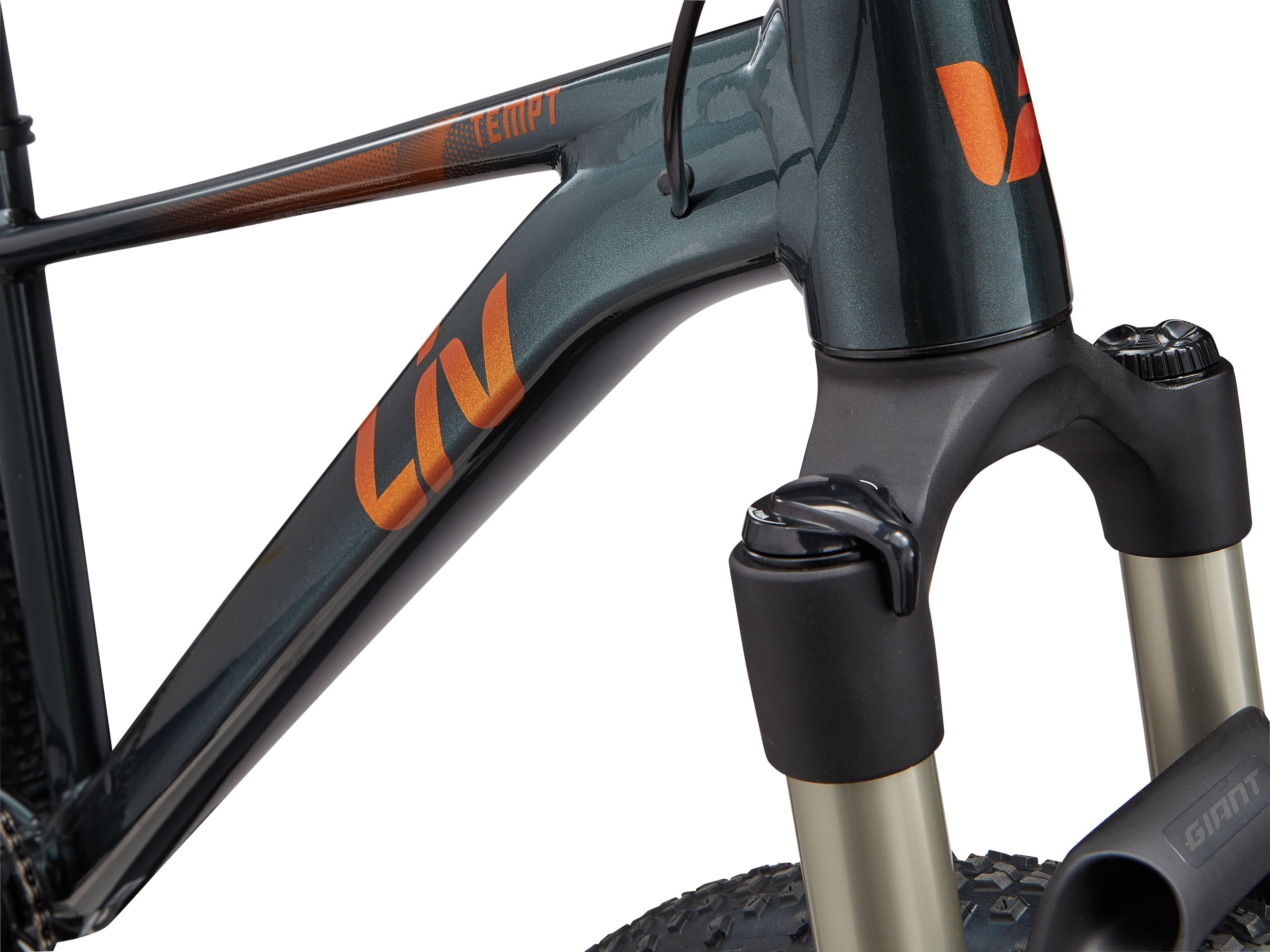 Bicicleta Mountain Bike Tempt 0 Aro 29 PREVENTA