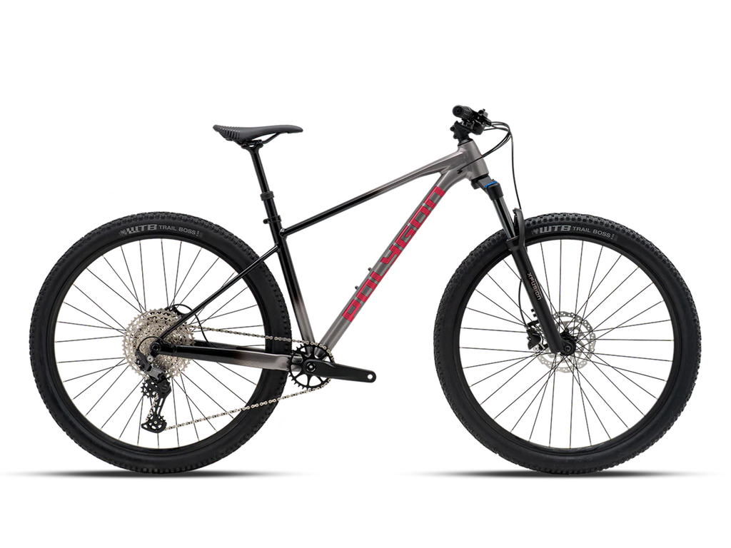 Bicicleta Mtb Polygon Xtrada 6 UDH Charcoal/Black