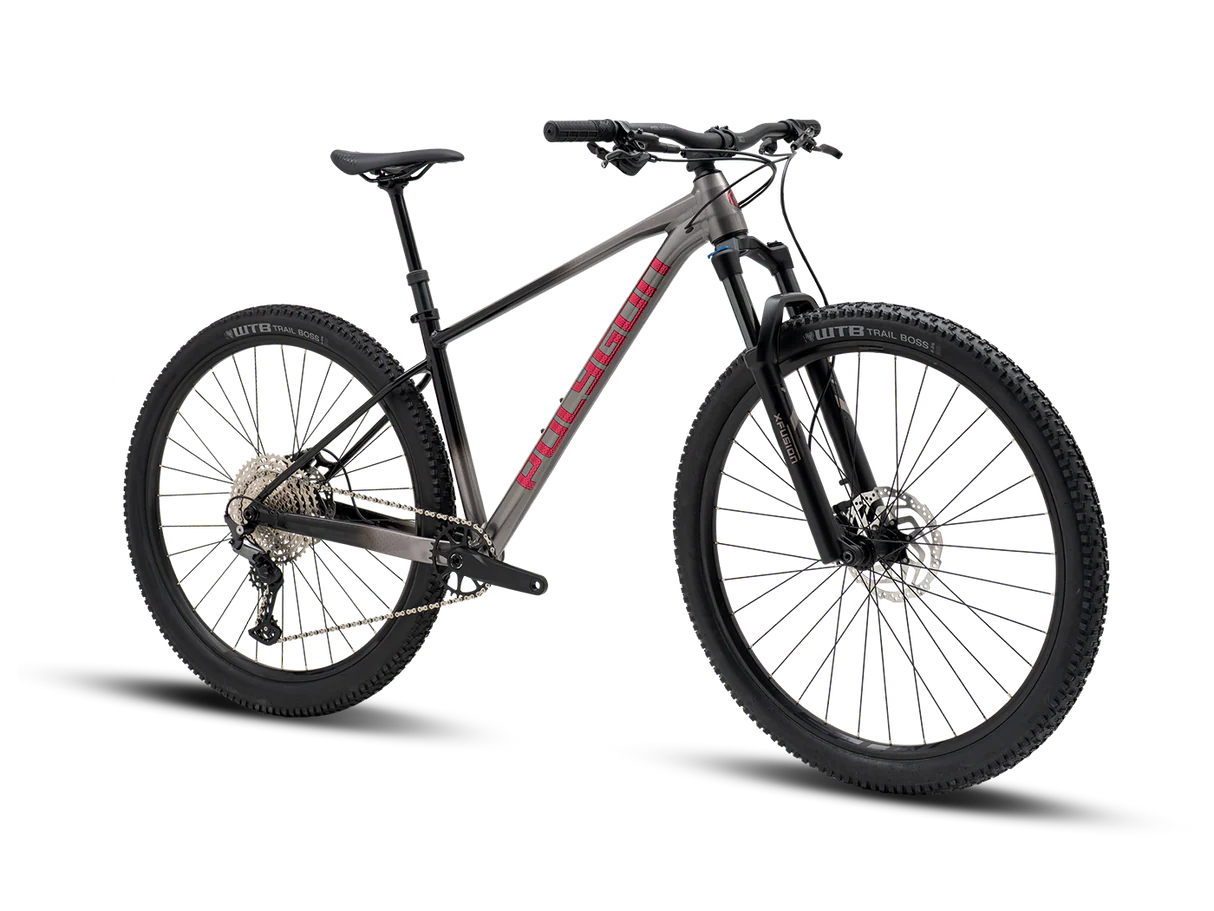 Bicicleta Mtb Polygon Xtrada 6 UDH Charcoal/Black