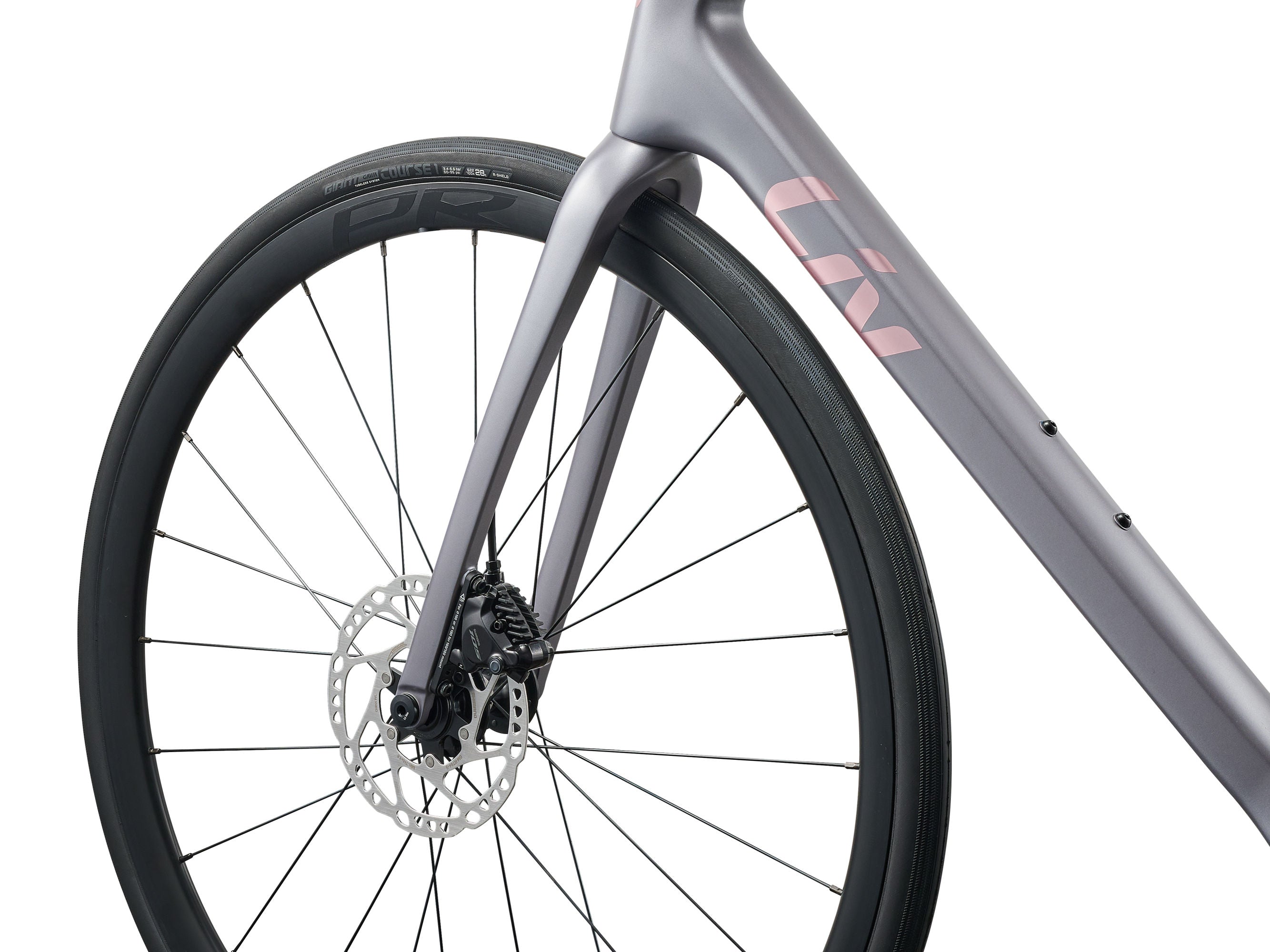 LIV LANGMA ADVANCED 2 QOM PREVENTA