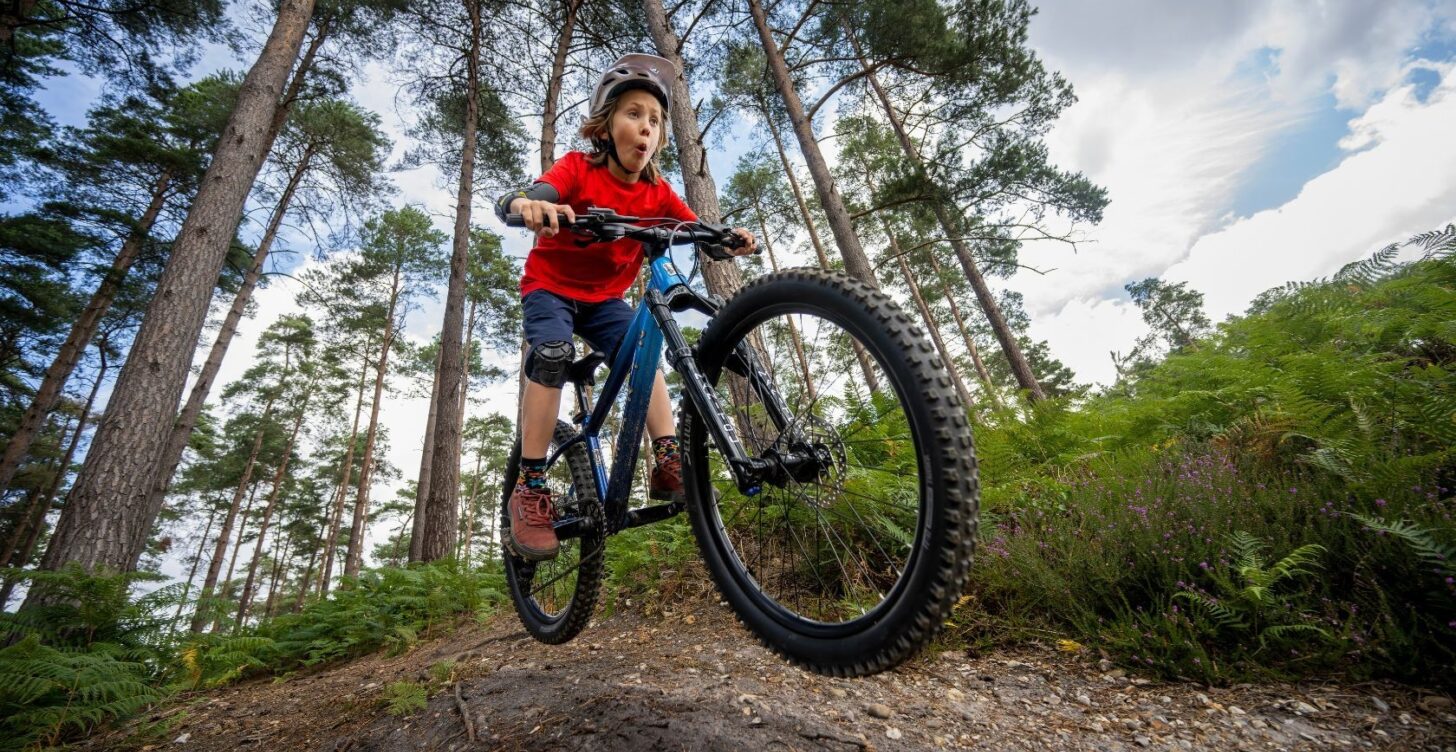 Bicicleta Infantil San Quentin Aro 24