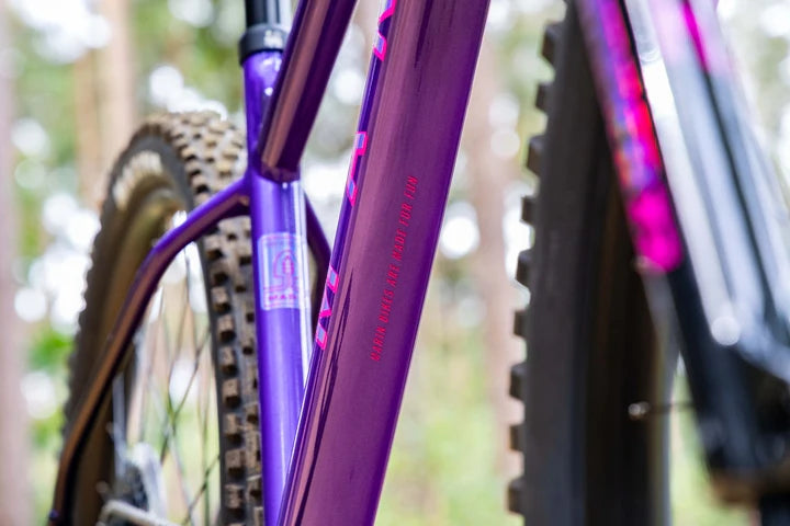 Bicicleta Mountain Bike San Quentin 3 Aro 29 PREVENTA