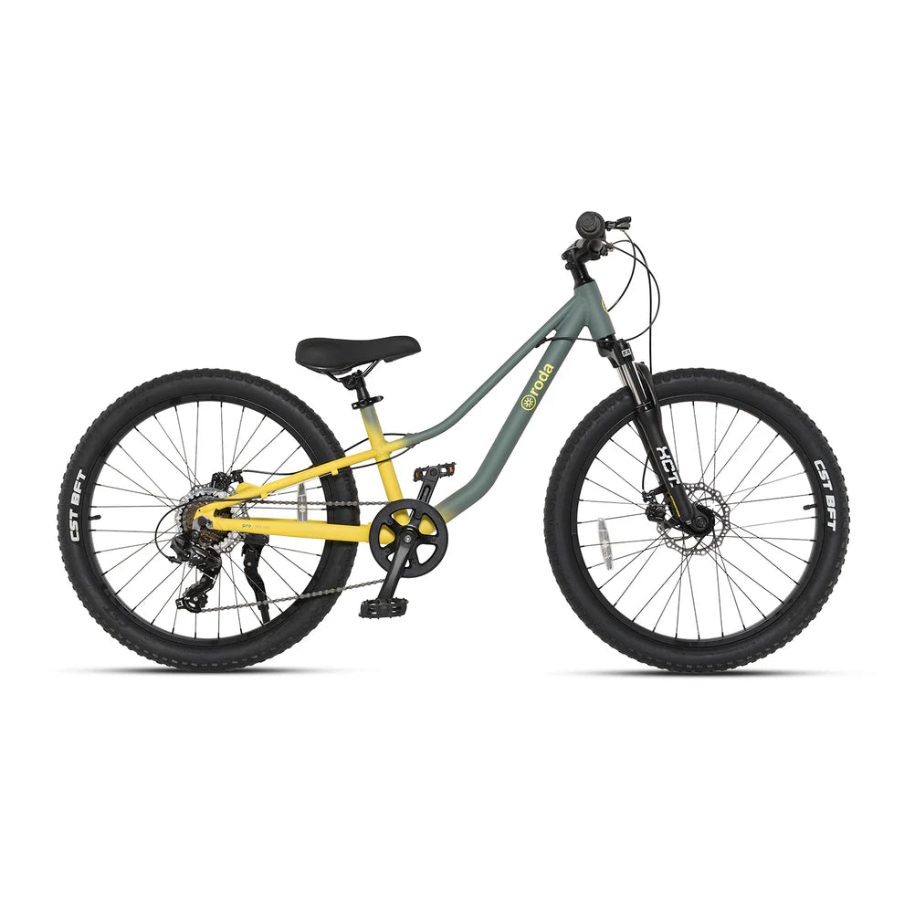 Bicicleta Pro Sport Aro 24