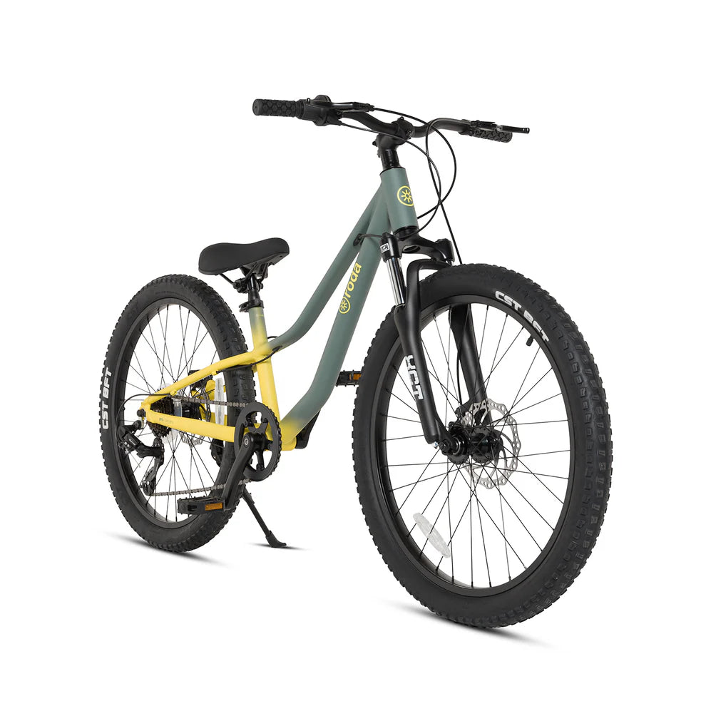 Bicicleta Pro Sport Aro 24
