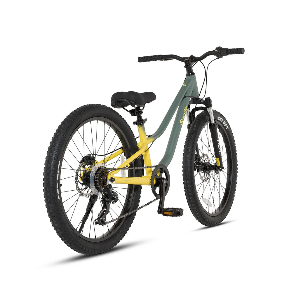 Bicicleta Pro Sport Aro 24