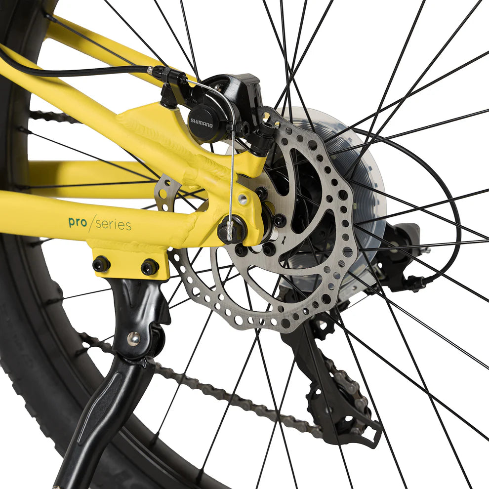 Bicicleta Pro Sport Aro 24