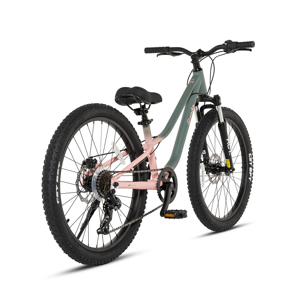 Bicicleta Pro Sport Aro 24