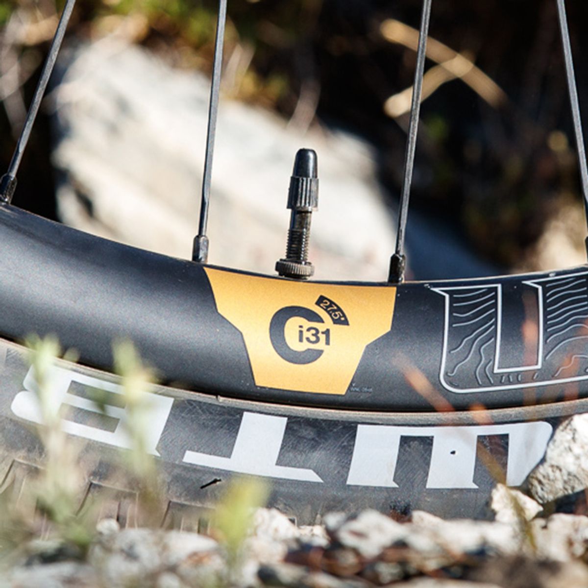 Válvulas WTB TCS F/V Presta 46mm Aluminio Naranja