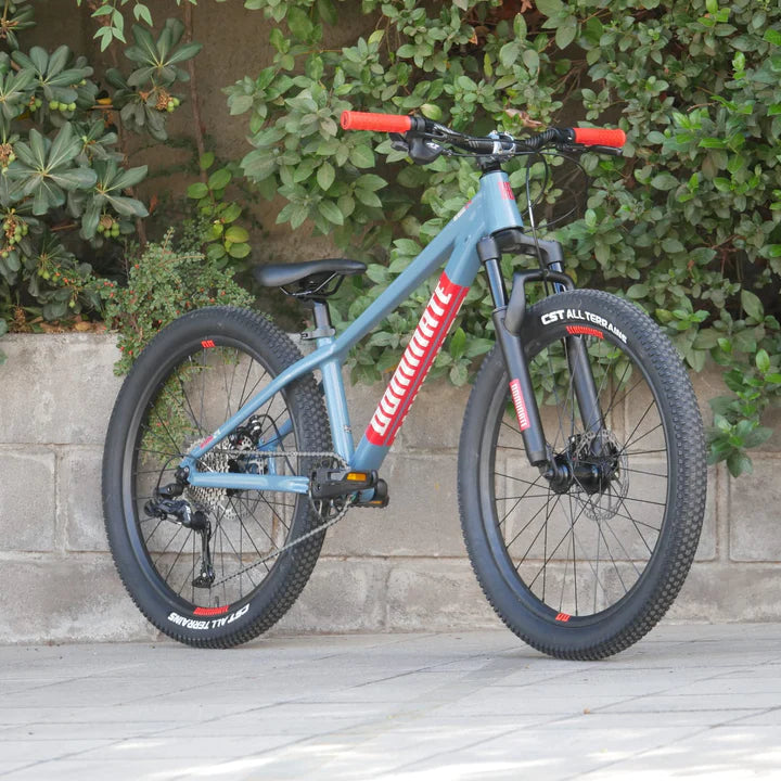 Bicicleta Infantil Dominate  Aro 24