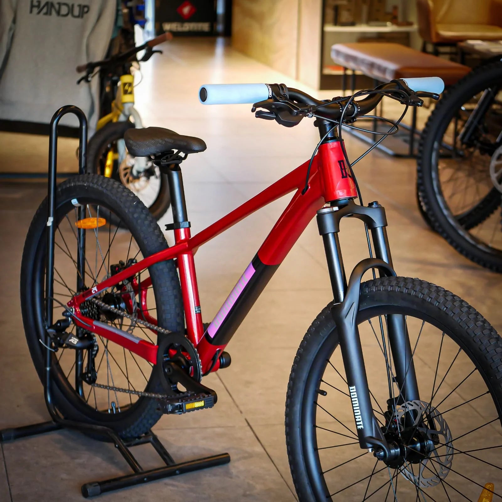 Bicicleta Infantil Dominate  Aro 24