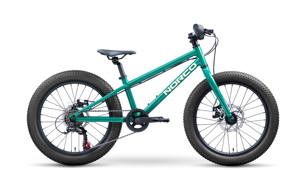 Bicicleta Infantil Storm 20 Disc