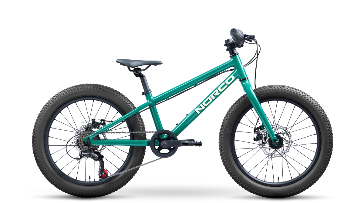 Bicicleta Infantil Storm 20 Disc